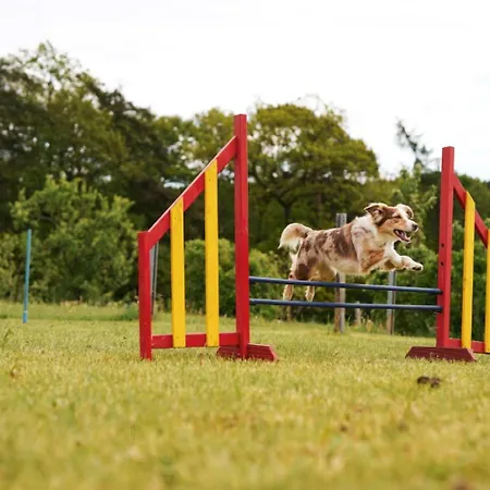 Hof Koehne - Haus An Der Weide Rechts Casa de Férias Schmallenberg