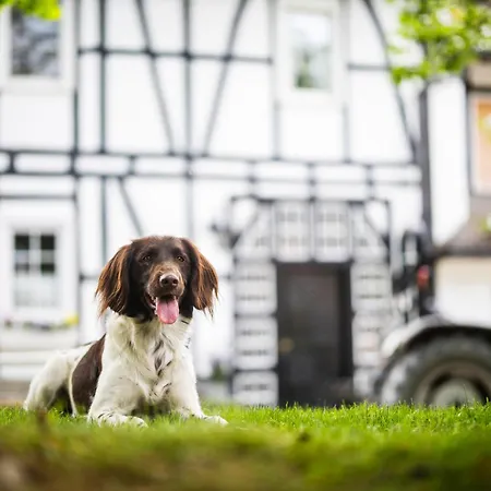 Hof Koehne - Haus An Der Weide Rechts Schmallenberg