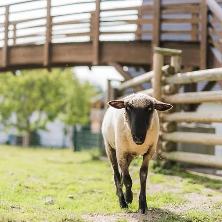 Hof Koehne - Haus An Der Weide Rechts * Schmallenberg