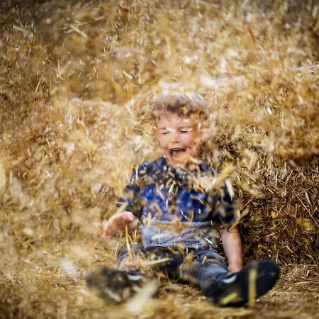 Casa de Férias Hof Koehne - Haus An Der Weide Rechts