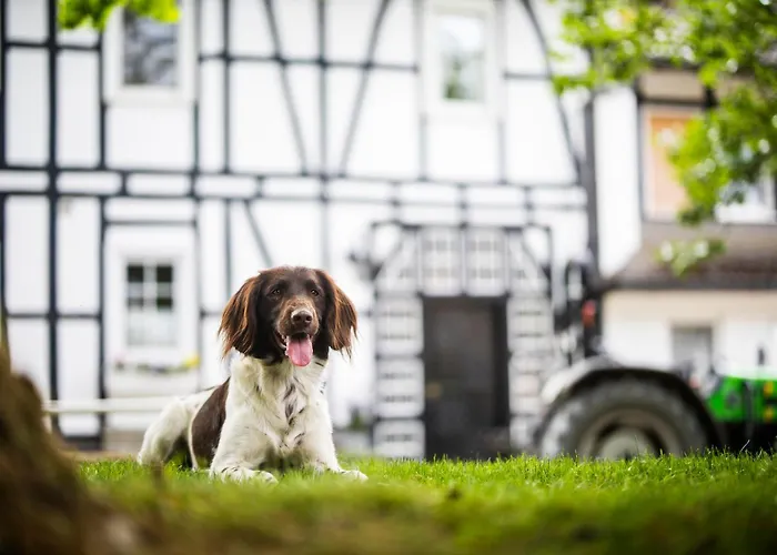 Hof Koehne - Haus An Der Weide Rechts Schmallenberg