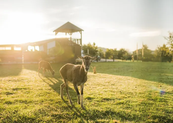 Hof Koehne - Haus An Der Weide Rechts * Schmallenberg