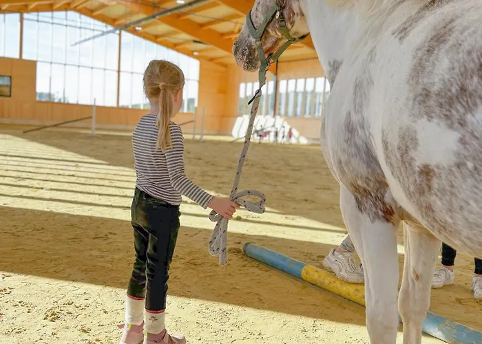 Hof Koehne - Haus An Der Weide Rechts Nyaraló Schmallenberg